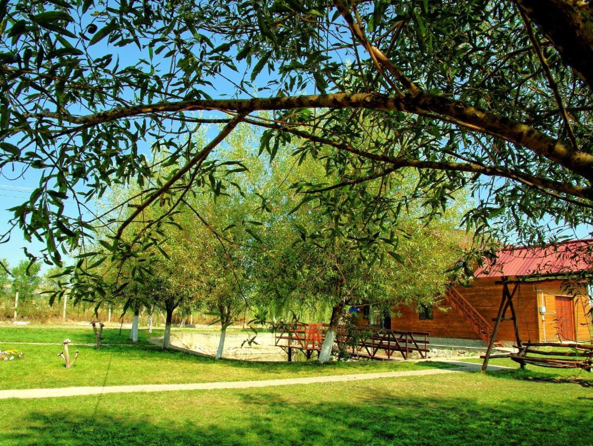 Pensiunea ,,La Struti" Targu Neamt ภายนอก รูปภาพ