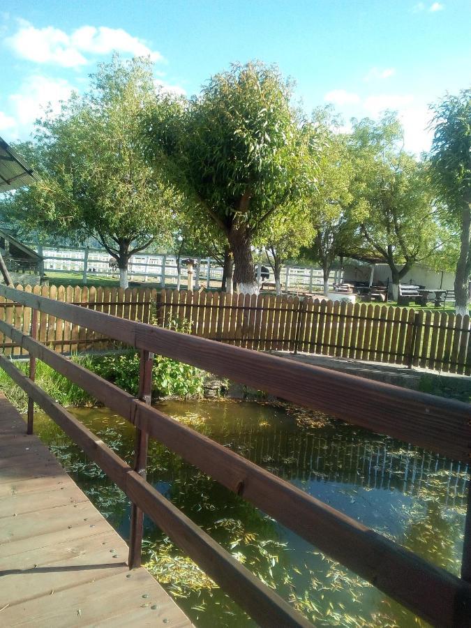Pensiunea ,,La Struti" Targu Neamt ภายนอก รูปภาพ