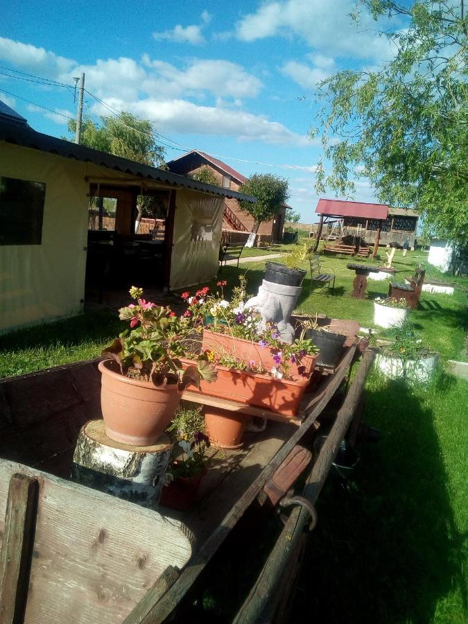 Pensiunea ,,La Struti" Targu Neamt ภายนอก รูปภาพ
